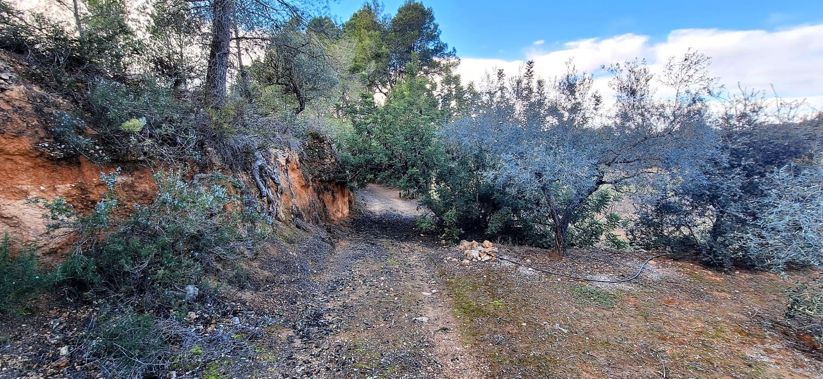 Finca/Maison de Campagne à vendre à Ginestar - 58 000 € (Ref: 9575059)