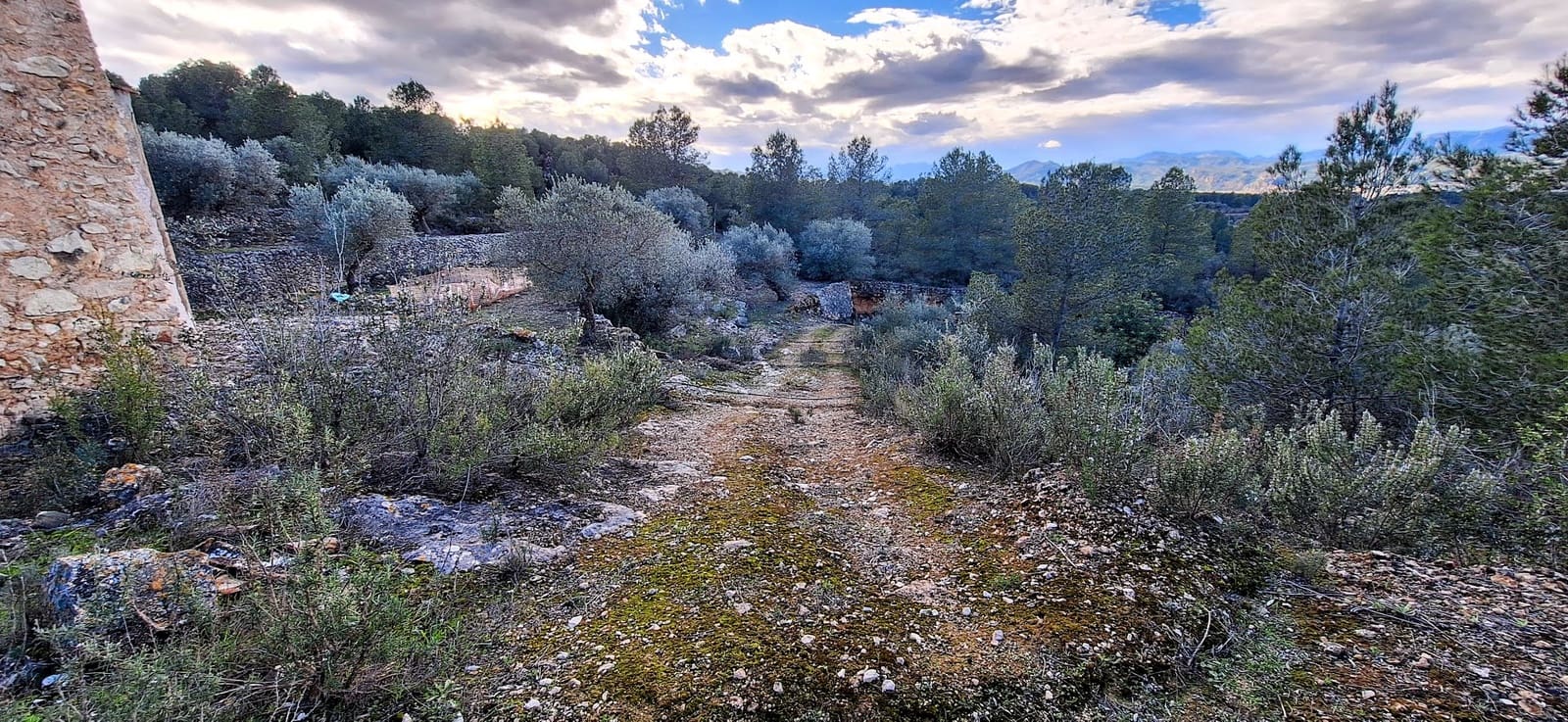 Finca/Maison de Campagne à vendre à Ginestar - 58 000 € (Ref: 9575059)