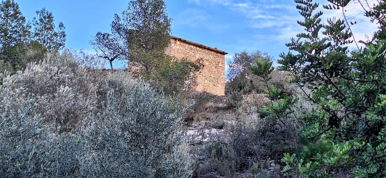 Finca/Maison de Campagne à vendre à Ginestar - 58 000 € (Ref: 9575059)