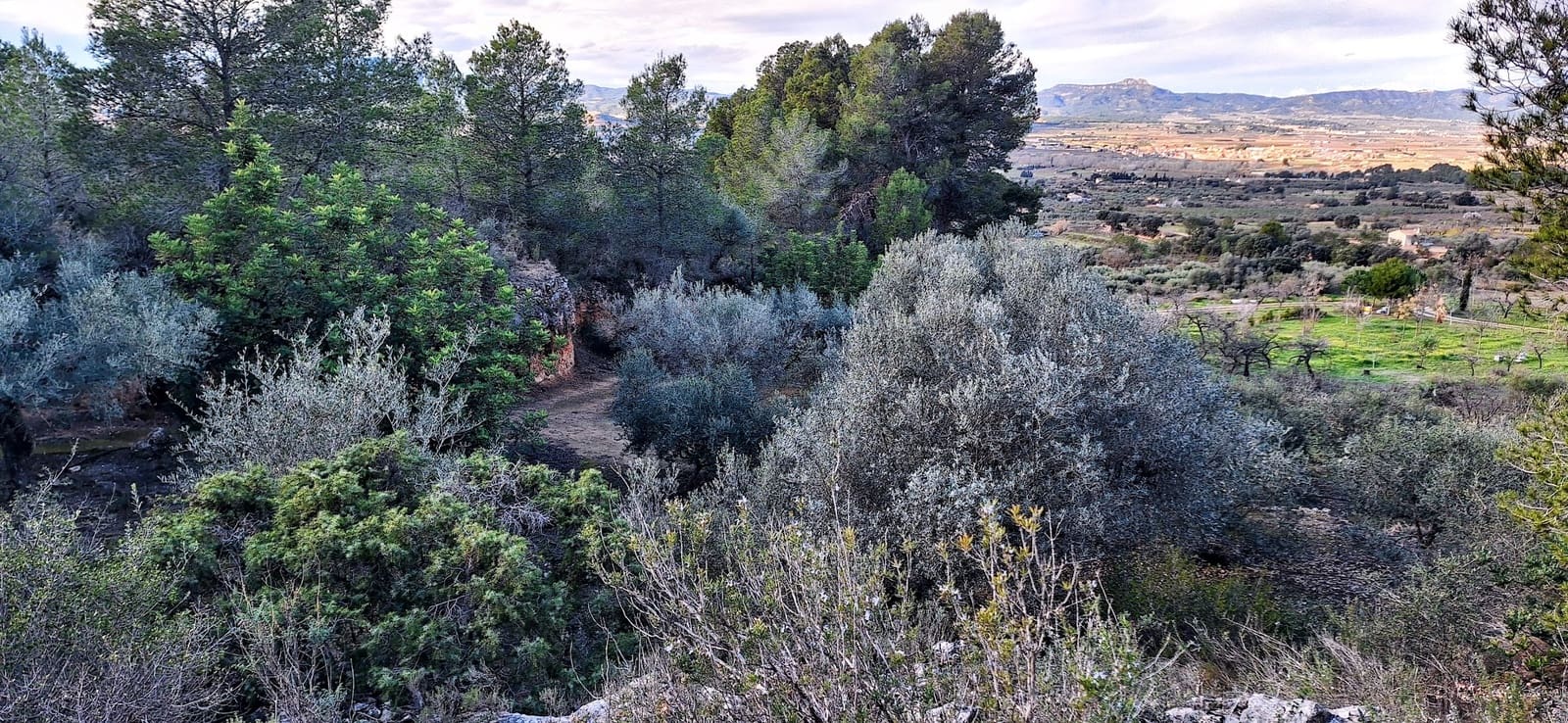 Finca/Maison de Campagne à vendre à Ginestar - 58 000 € (Ref: 9575059)