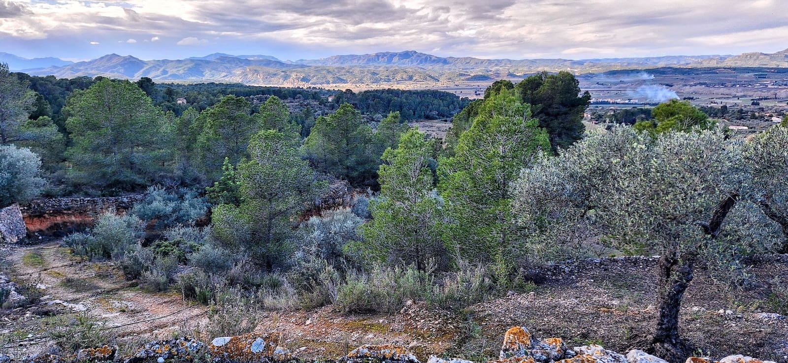 Finca/Maison de Campagne à vendre à Ginestar - 58 000 € (Ref: 9575059)
