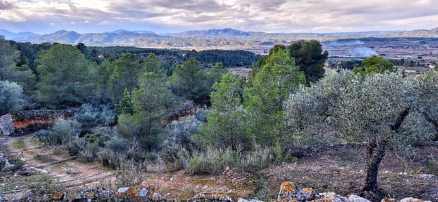 Finca/Landhuis te koop in Ginestar - € 58.000 (Ref: 9575059)