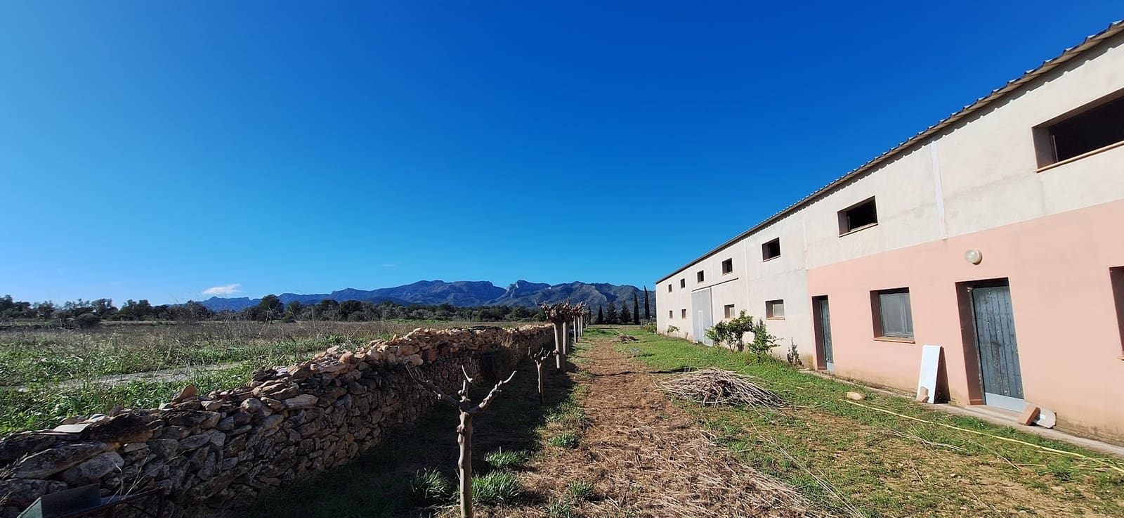 3 chambre Finca/Maison de Campagne à vendre à Ginestar - 210 000 € (Ref: 9623211)