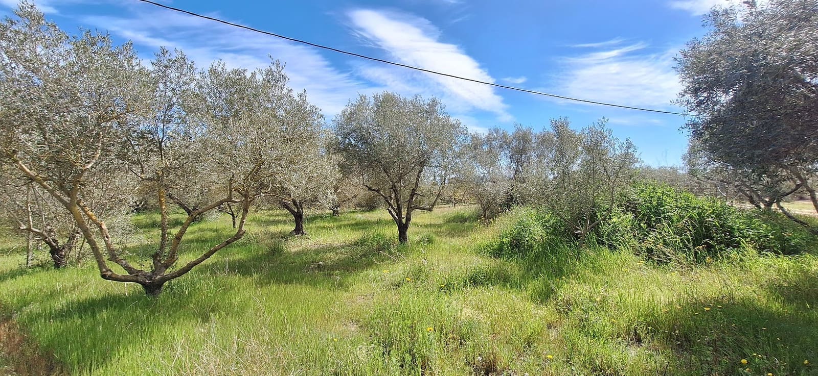 Finca/Country House for sale in Mora d'Ebre - € 159,000 (Ref: 9733862)