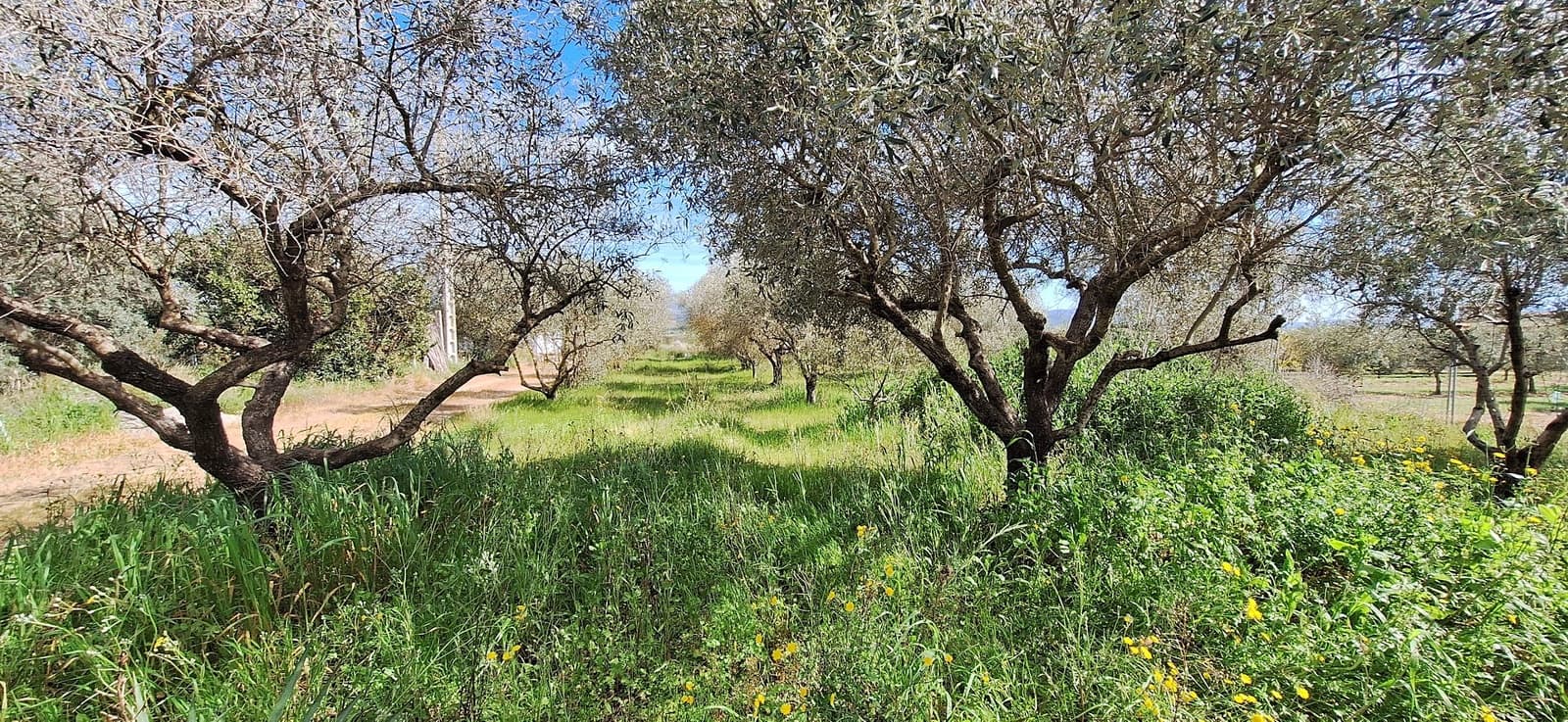 Finca/Country House for sale in Mora d'Ebre - € 159,000 (Ref: 9733862)