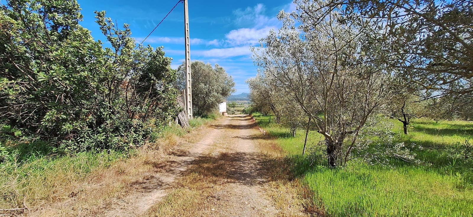 Finca/Country House for sale in Mora d'Ebre - € 159,000 (Ref: 9733862)