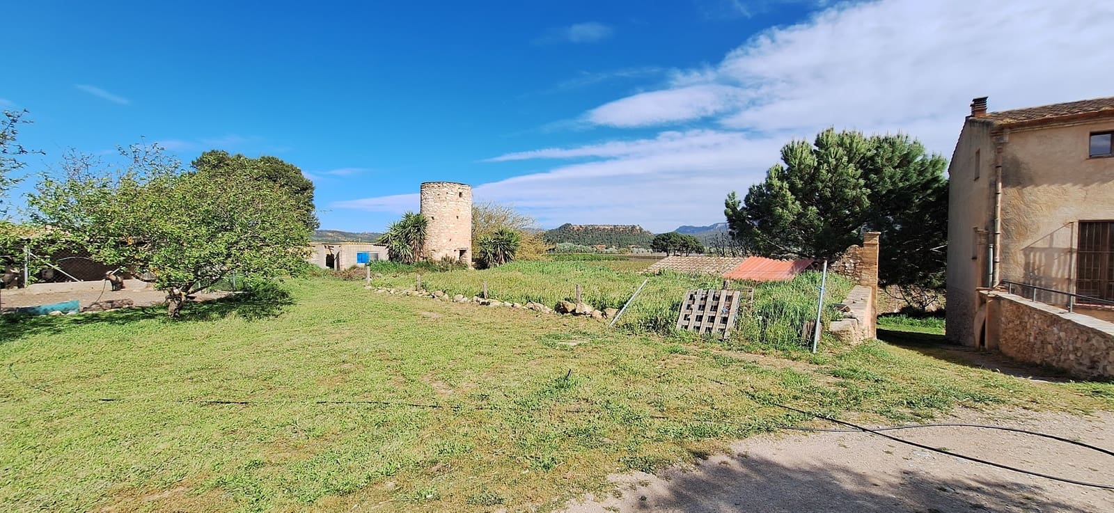 8 chambre Hôtel à vendre à Benissanet avec piscine - 690 000 € (Ref: 9737210)