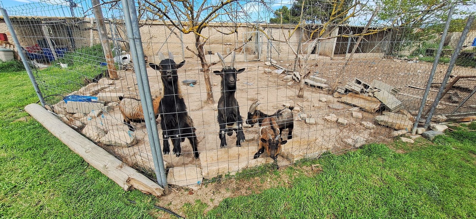 8 chambre Hôtel à vendre à Benissanet avec piscine - 690 000 € (Ref: 9737210)