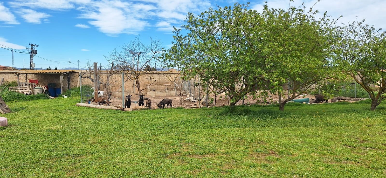 8 chambre Hôtel à vendre à Benissanet avec piscine - 690 000 € (Ref: 9737210)