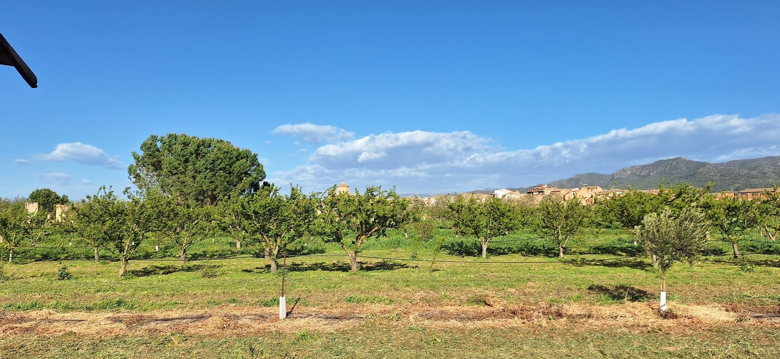 Finca/Landehus til salg i Ginestar - € 17.000 (Ref: 9737241)