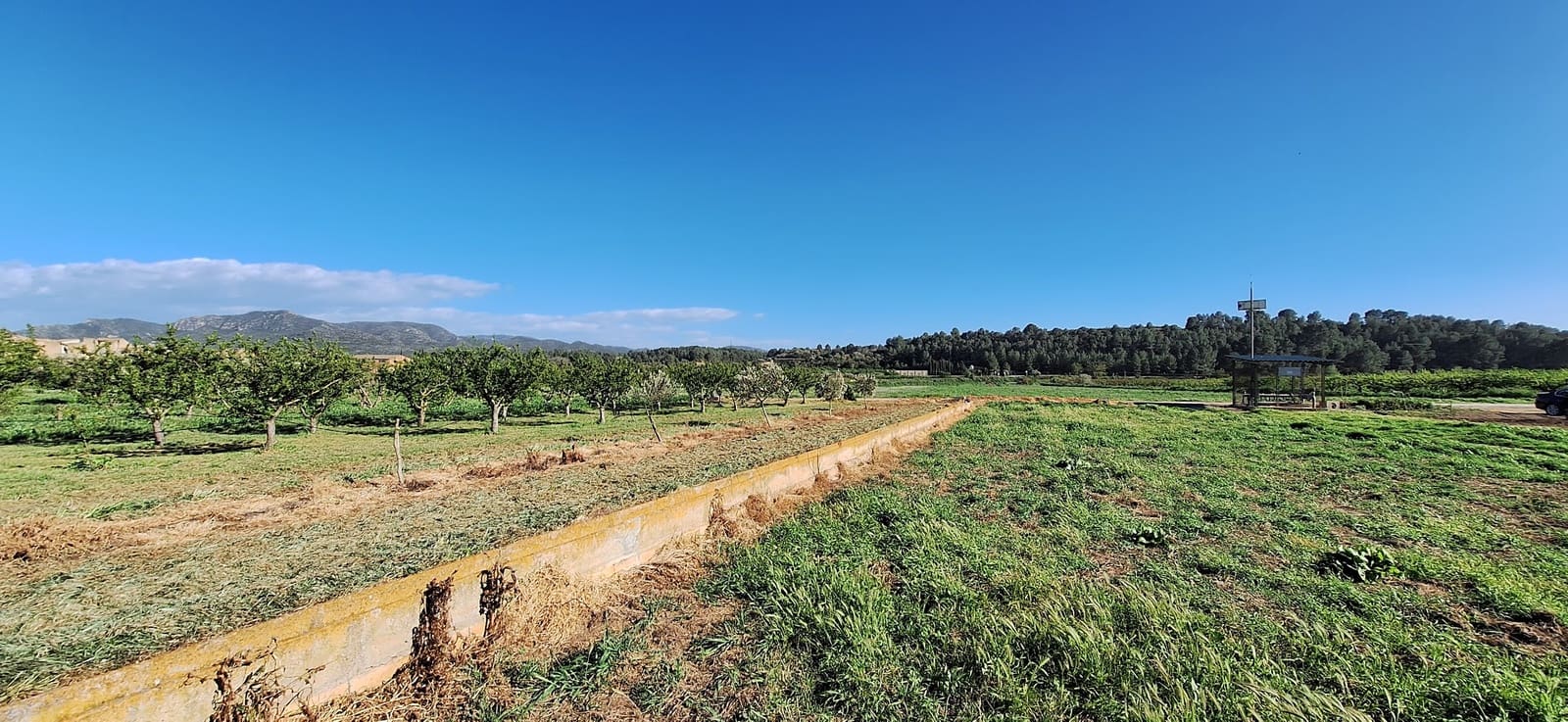 Finca/Landehus til salg i Ginestar - € 17.000 (Ref: 9737241)