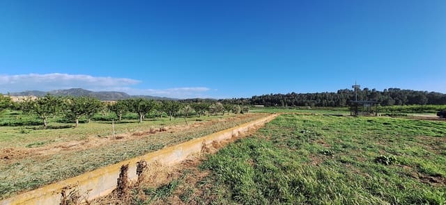 Finca/Country House for sale in Ginestar - € 17,000 (Ref: 9737241)