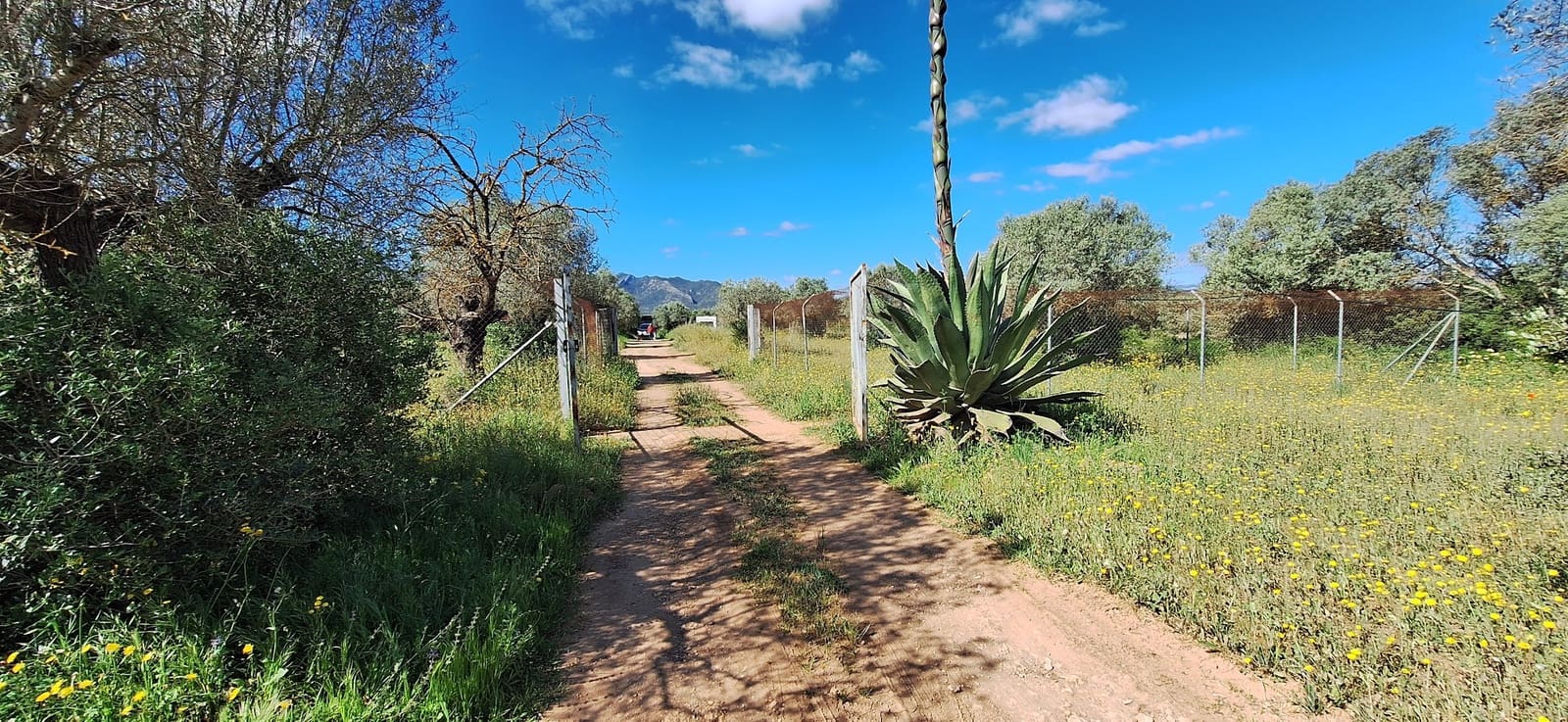 2 soveværelse Finca/Landehus til salg i Ginestar - € 145.000 (Ref: 9777006)