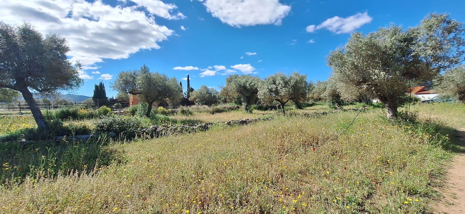 2 soveværelse Finca/Landehus til salg i Ginestar - € 145.000 (Ref: 9777006)