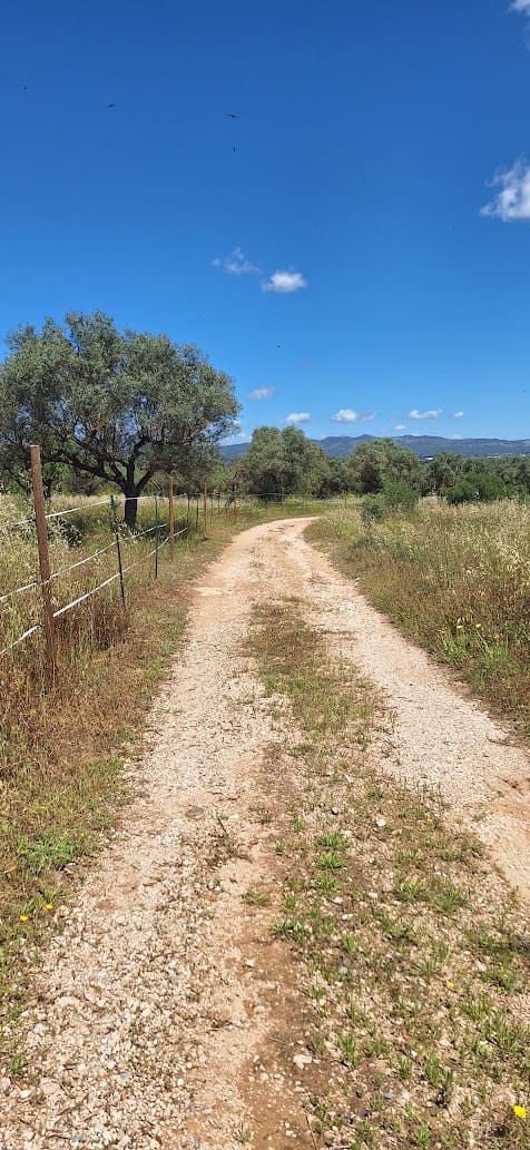 3 Zimmer Finca/Landgut zu verkaufen in Ginestar mit Pool - 375.000 € (Ref: 9827966)
