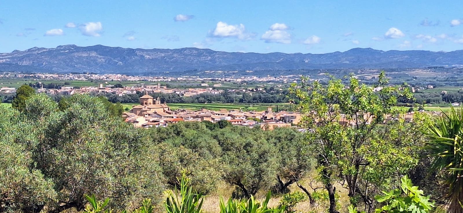 3 Zimmer Finca/Landgut zu verkaufen in Ginestar mit Pool - 375.000 € (Ref: 9827966)