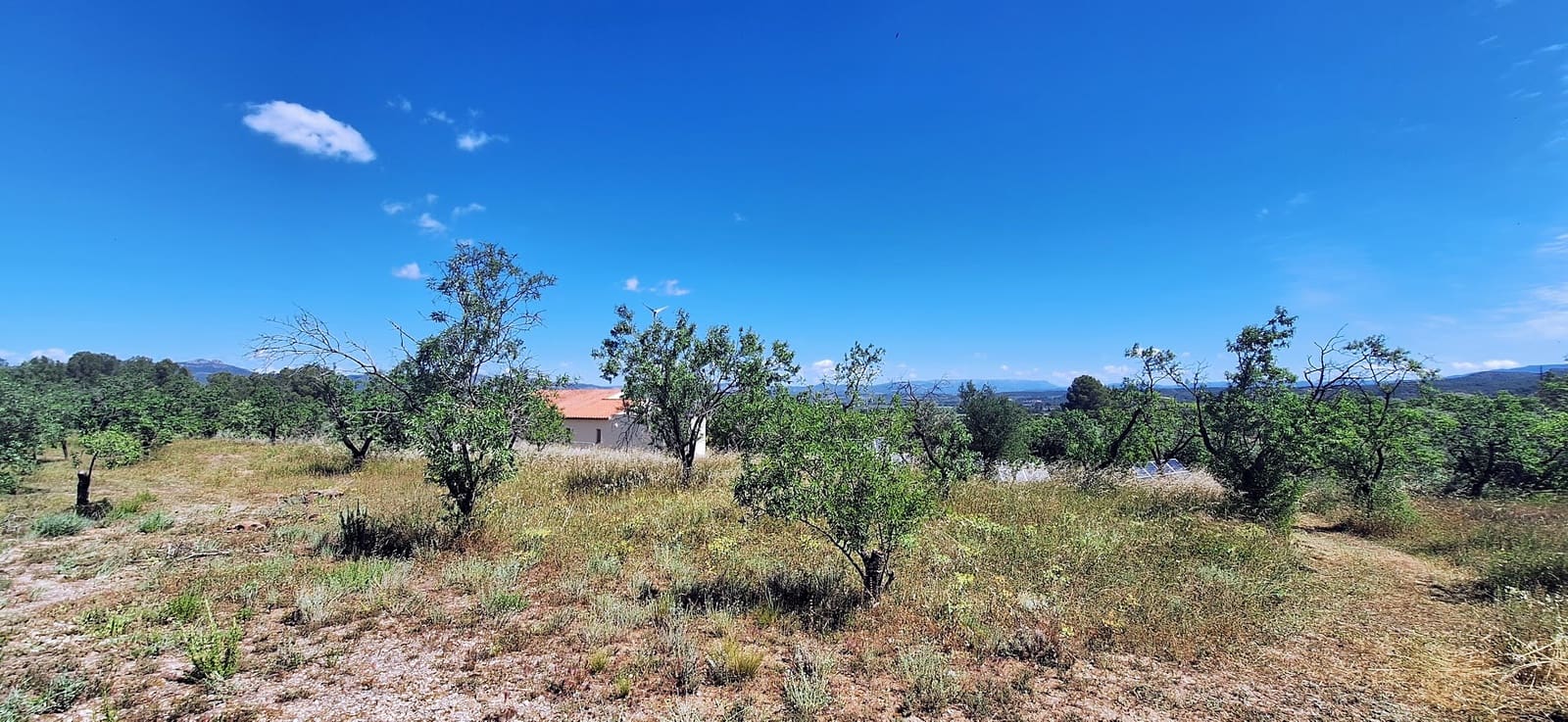 3 Zimmer Finca/Landgut zu verkaufen in Ginestar mit Pool - 375.000 € (Ref: 9827966)