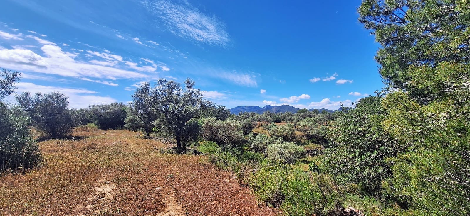 3 Zimmer Finca/Landgut zu verkaufen in Ginestar mit Pool - 375.000 € (Ref: 9827966)