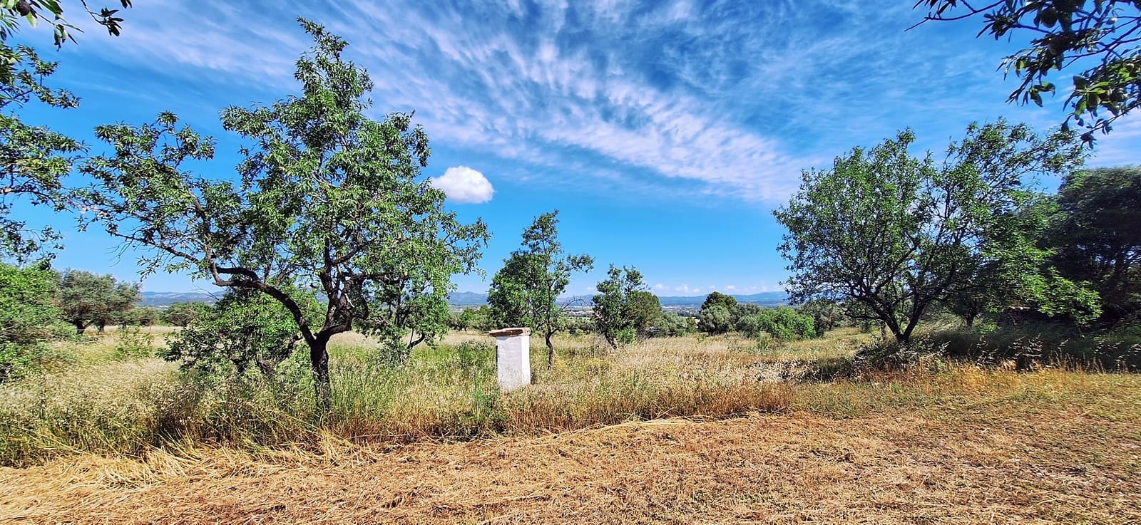 3 Zimmer Finca/Landgut zu verkaufen in Ginestar mit Pool - 375.000 € (Ref: 9827966)