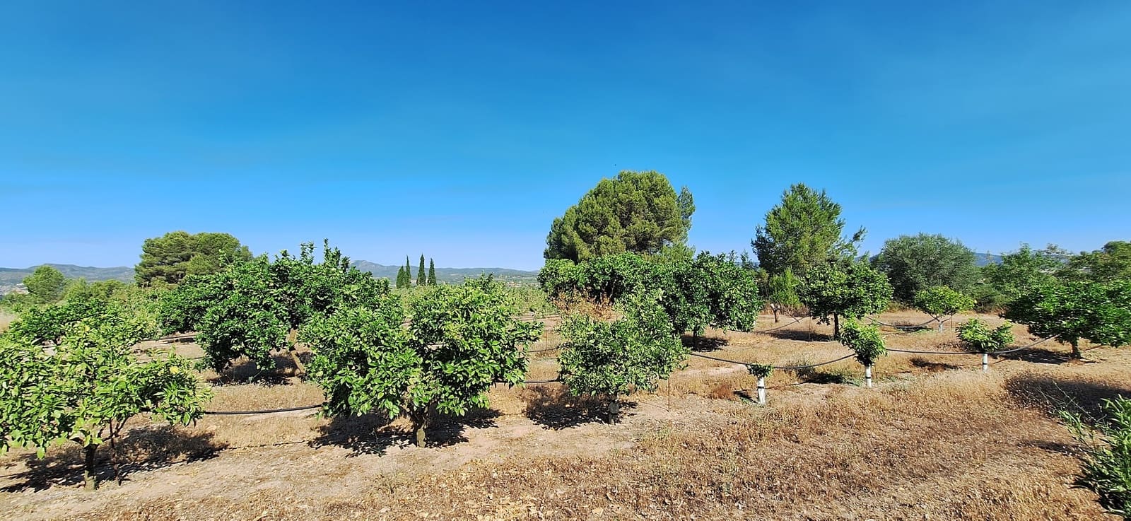 Finca/Landehus til salg i Ginestar - € 7.000 (Ref: 9941496)