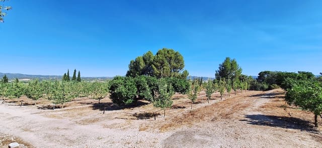 Finca/Landehus til salg i Ginestar - € 7.000 (Ref: 9941496)