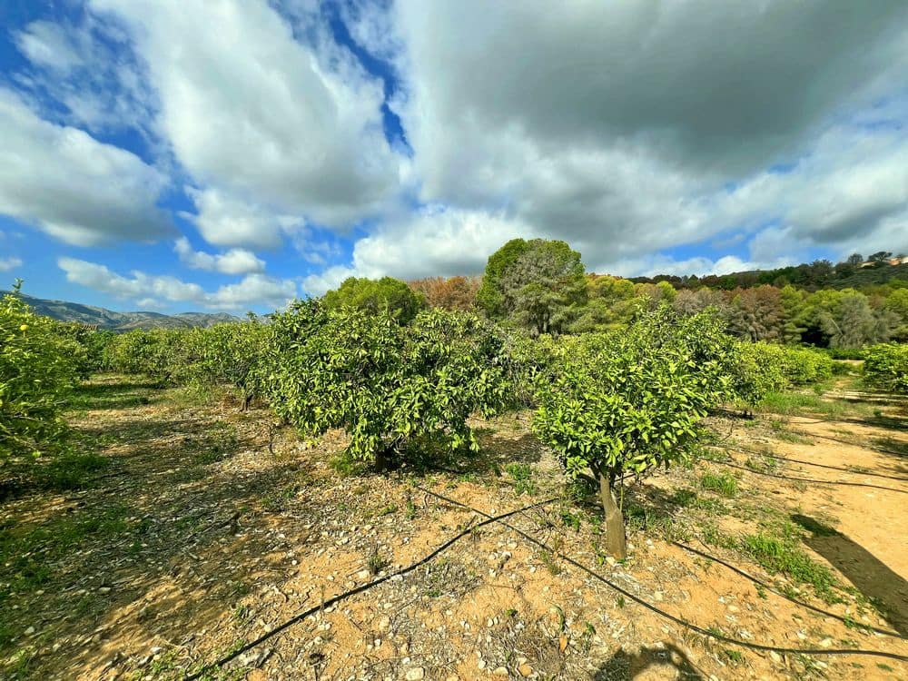 Area Edificabile in vendita in Pego - 28.000 € (Rif: 8777015)