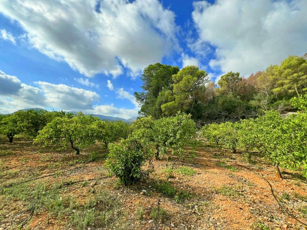 Area Edificabile in vendita in Pego - 28.000 € (Rif: 8777015)