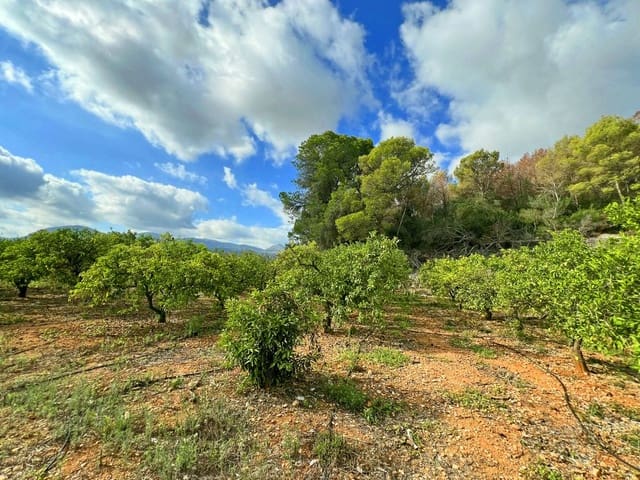 Area Edificabile in vendita in Pego - 28.000 € (Rif: 8777015)