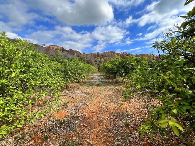 Area Edificabile in vendita in Pego - 28.000 € (Rif: 8777015)