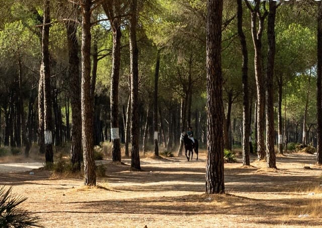 2 soverom Husvogn til salgs i El Rocío, Almonte med svømmebasseng - € 83 616 (Ref: 6271732)