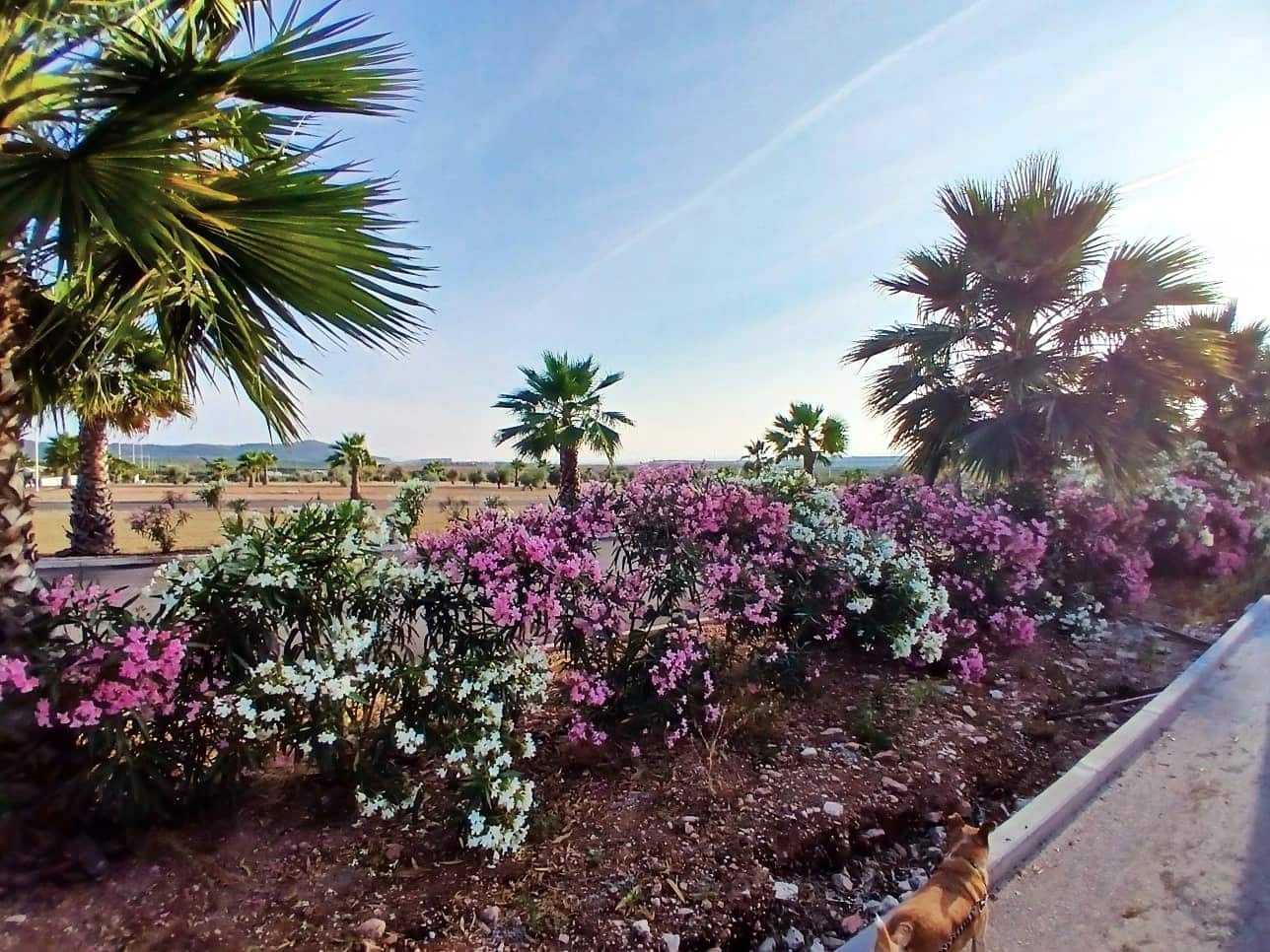 3 sypialnia Domek mobilny na sprzedaż w El Rocio z basenem garażem - 62 875 € (Ref: 7926397)