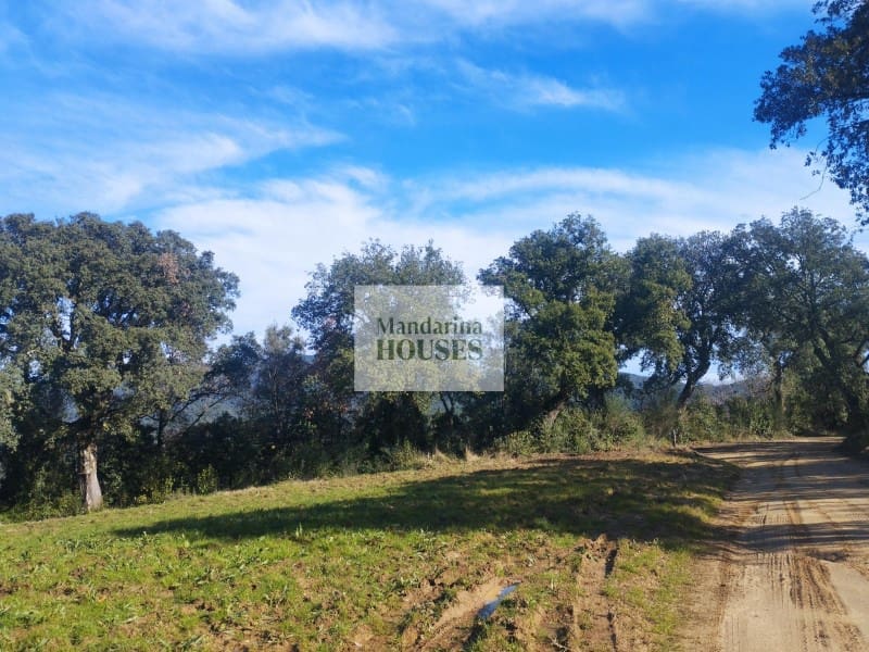 5 camera da letto Villa in vendita in Arbucies con garage - 1.300.000 € (Rif: 10011136)