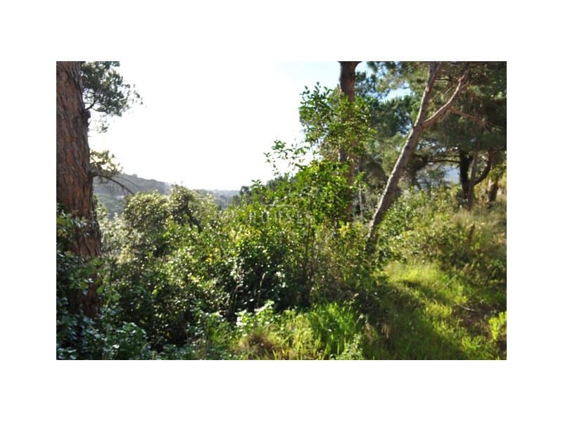 Byggegrund til salg i Lloret de Mar - € 78.000 (Ref: 3419846)