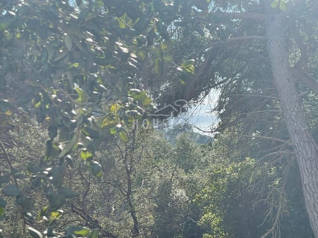 Building Plot for sale in Canyelles, Lloret de Mar - € 89,000 (Ref: 4816350)