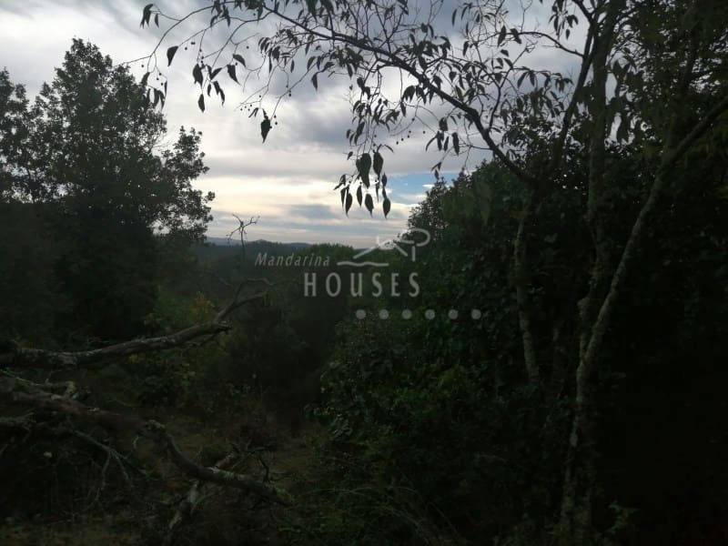 Finka/Dom wiejski na sprzedaż w Riudarenes - 140 000 € (Ref: 4816351)