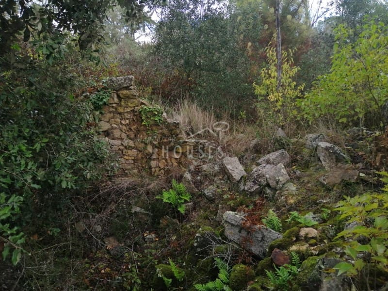 Finka/Dom wiejski na sprzedaż w Riudarenes - 140 000 € (Ref: 4816351)