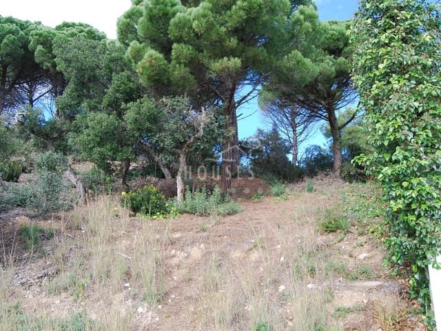 Tomt till salu i Roca Grossa, Lloret de Mar - 185 000 € (Ref: 4986086)