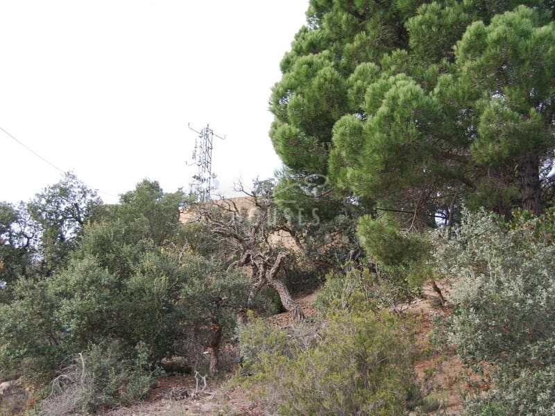 Tomt till salu i Lloret de Mar - 185 000 € (Ref: 4986086)