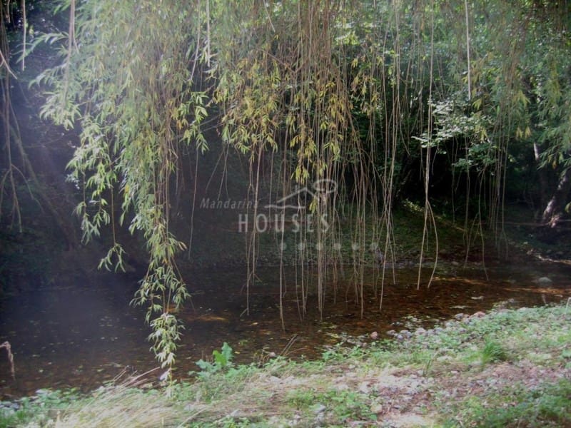 20 soveværelse Hotel til salg i Viladrau med swimmingpool garage - € 2.100.000 (Ref: 5064758)