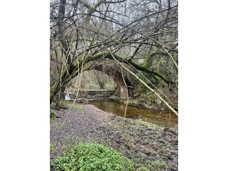 20 soveværelse Hotel til salg i Viladrau med swimmingpool garage - € 2.100.000 (Ref: 5064758)