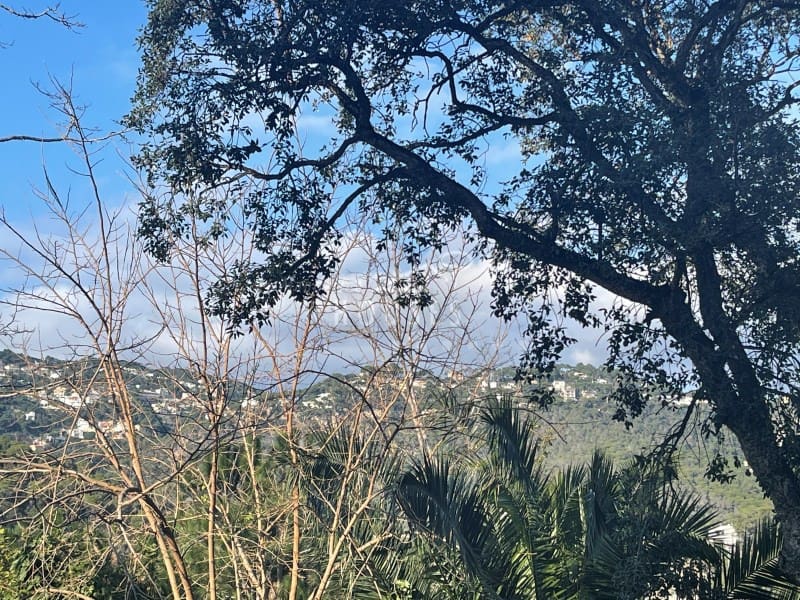 Solar/Parcela en Lloret de Mar en venta - 199.000 € (Ref: 6588375)