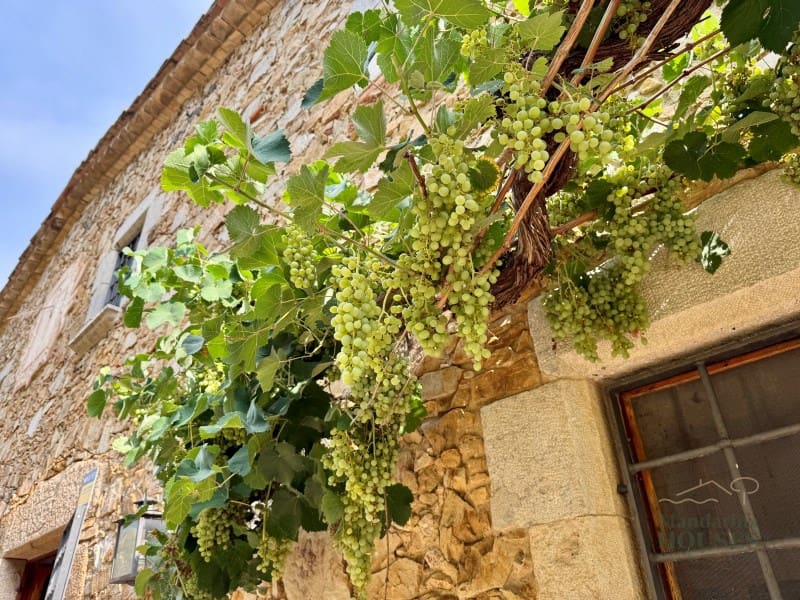 6 soveværelse Villa til salg i Llagostera med garage - € 1.090.000 (Ref: 8836863)