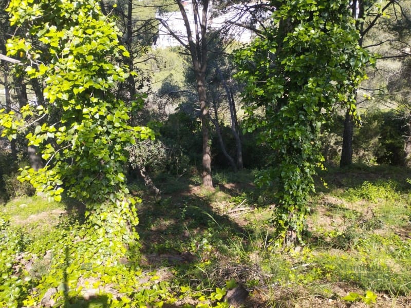 Tomt till salu i Lloret de Mar - 280 000 € (Ref: 9107675)