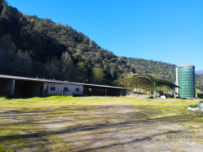 Finca/Casa Rural en Sant Feliu de Buixalleu en venta - 1.300.000 € (Ref: 9744098)