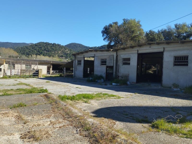 Finca/Casa Rural en Sant Feliu de Buixalleu en venta - 1.300.000 € (Ref: 9744098)