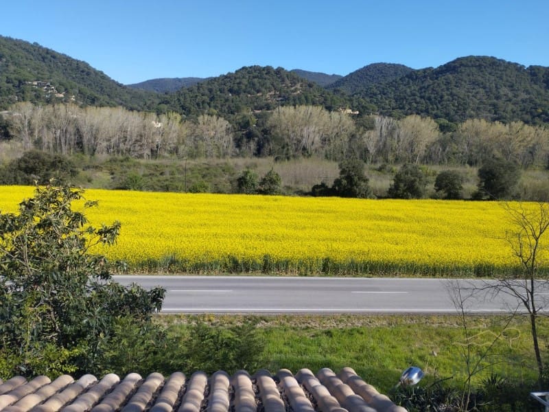 Finca/Casa Rural en Sant Feliu de Buixalleu en venta - 1.300.000 € (Ref: 9744098)