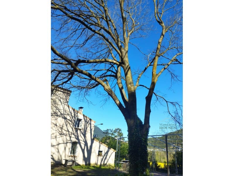 Finca/Casa Rural en Sant Feliu de Buixalleu en venta - 1.300.000 € (Ref: 9744098)