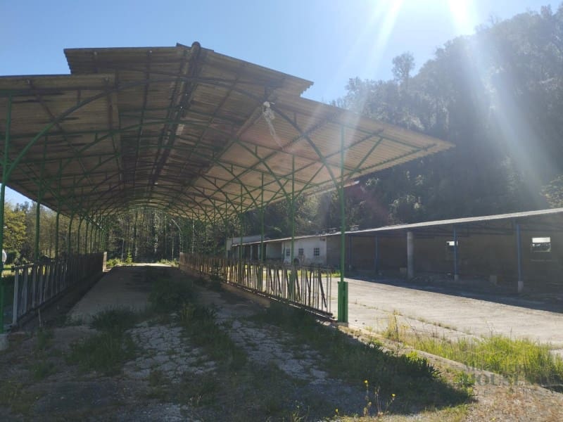 Finca/Casa Rural en Sant Feliu de Buixalleu en venta - 1.300.000 € (Ref: 9744098)