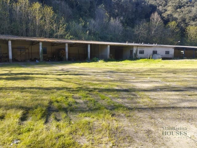 Finca/Country House for sale in Sant Feliu de Buixalleu - € 1,300,000 (Ref: 9744098)