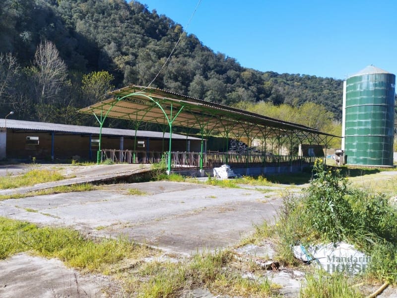 Finca/Casa Rural en Sant Feliu de Buixalleu en venta - 1.300.000 € (Ref: 9744098)